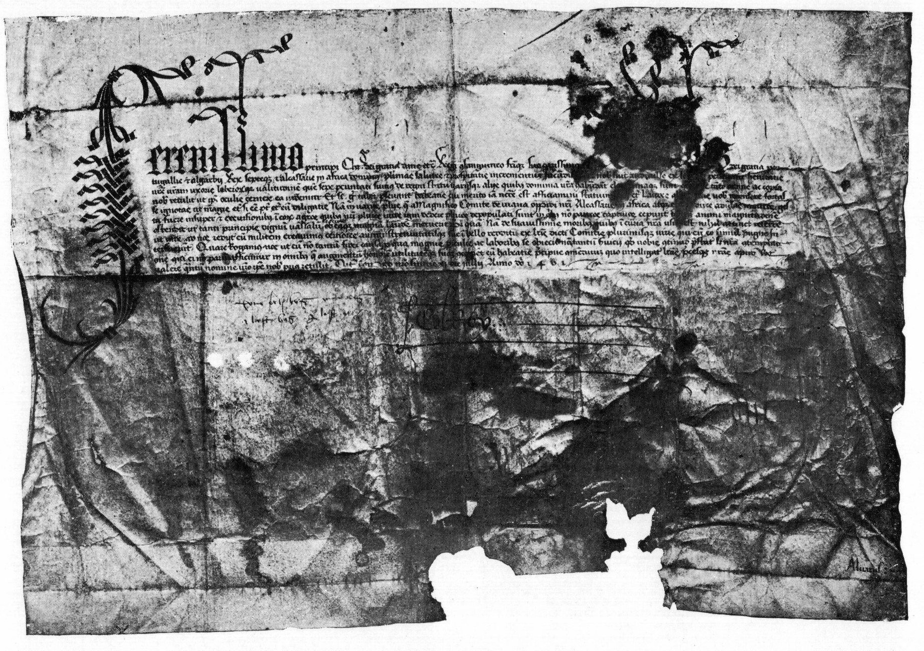 images/carta_afonsoV_man